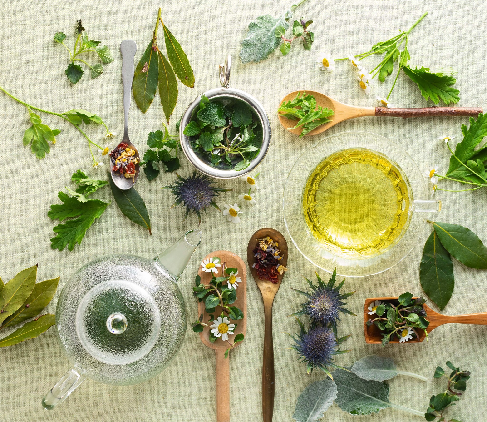 お薬に頼らないケアーみのりの丘2